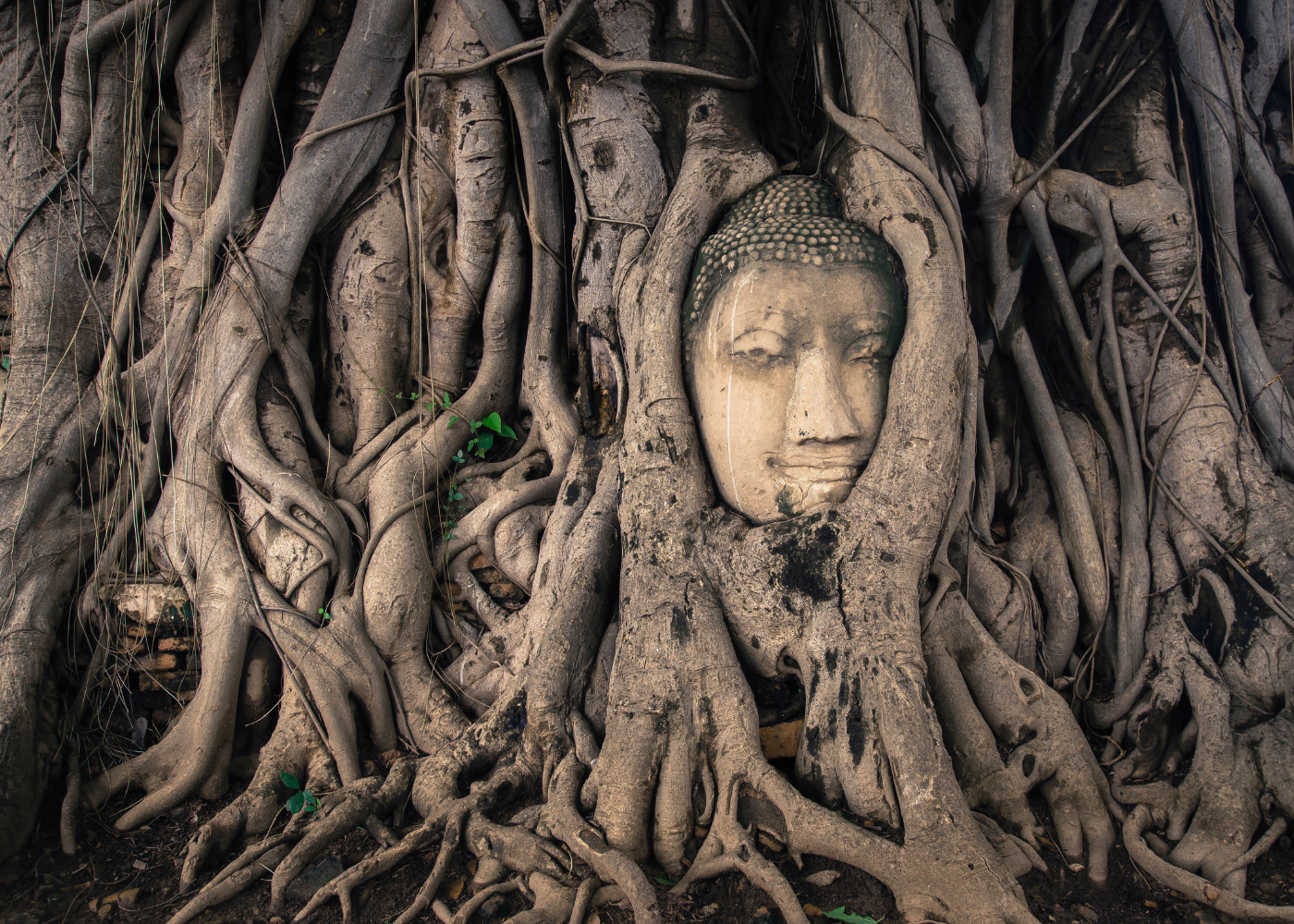 Wat Mahathat, Ayuthaya