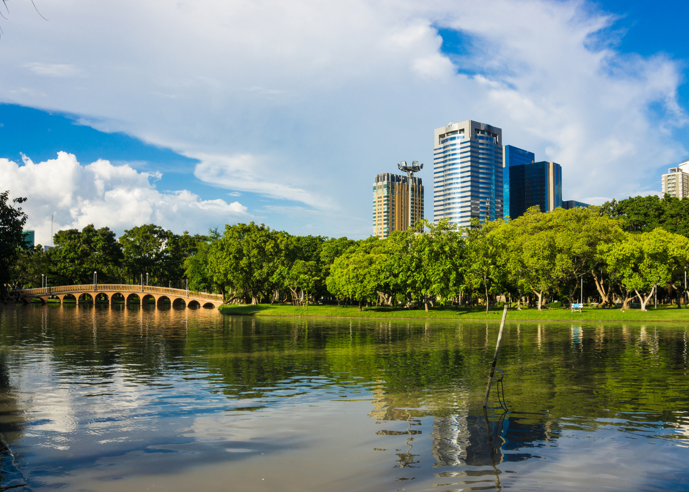 chatuchak park