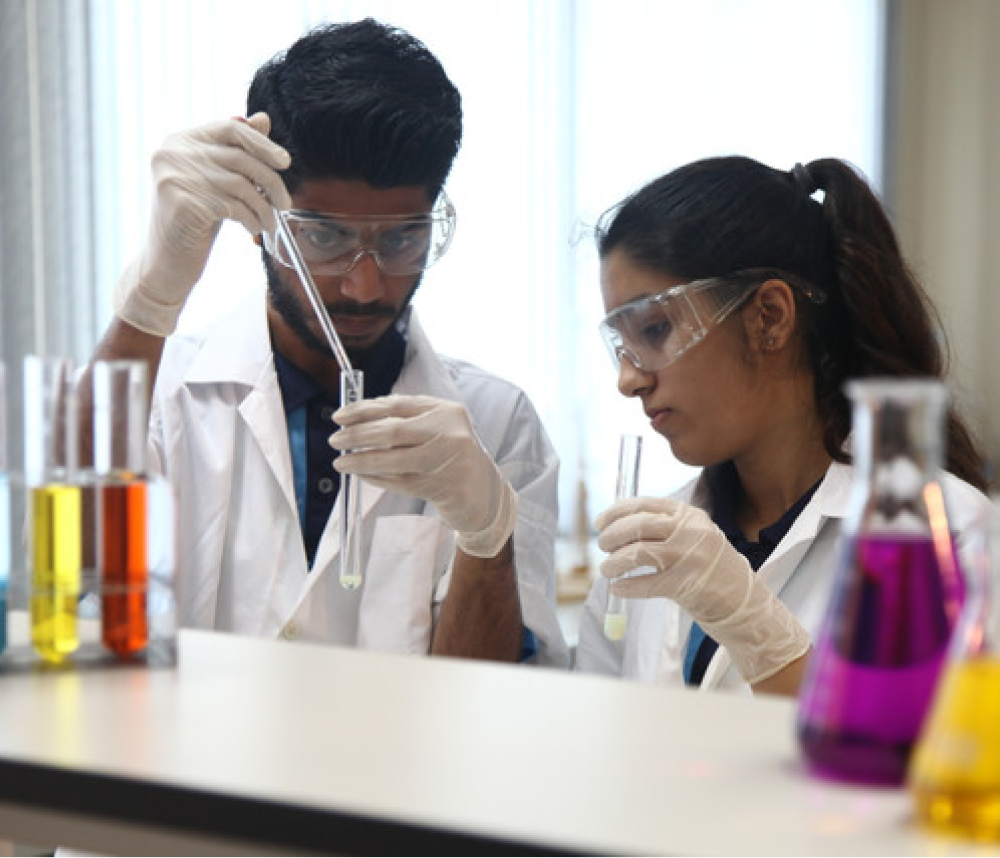 International Pioneers School (IPS)
