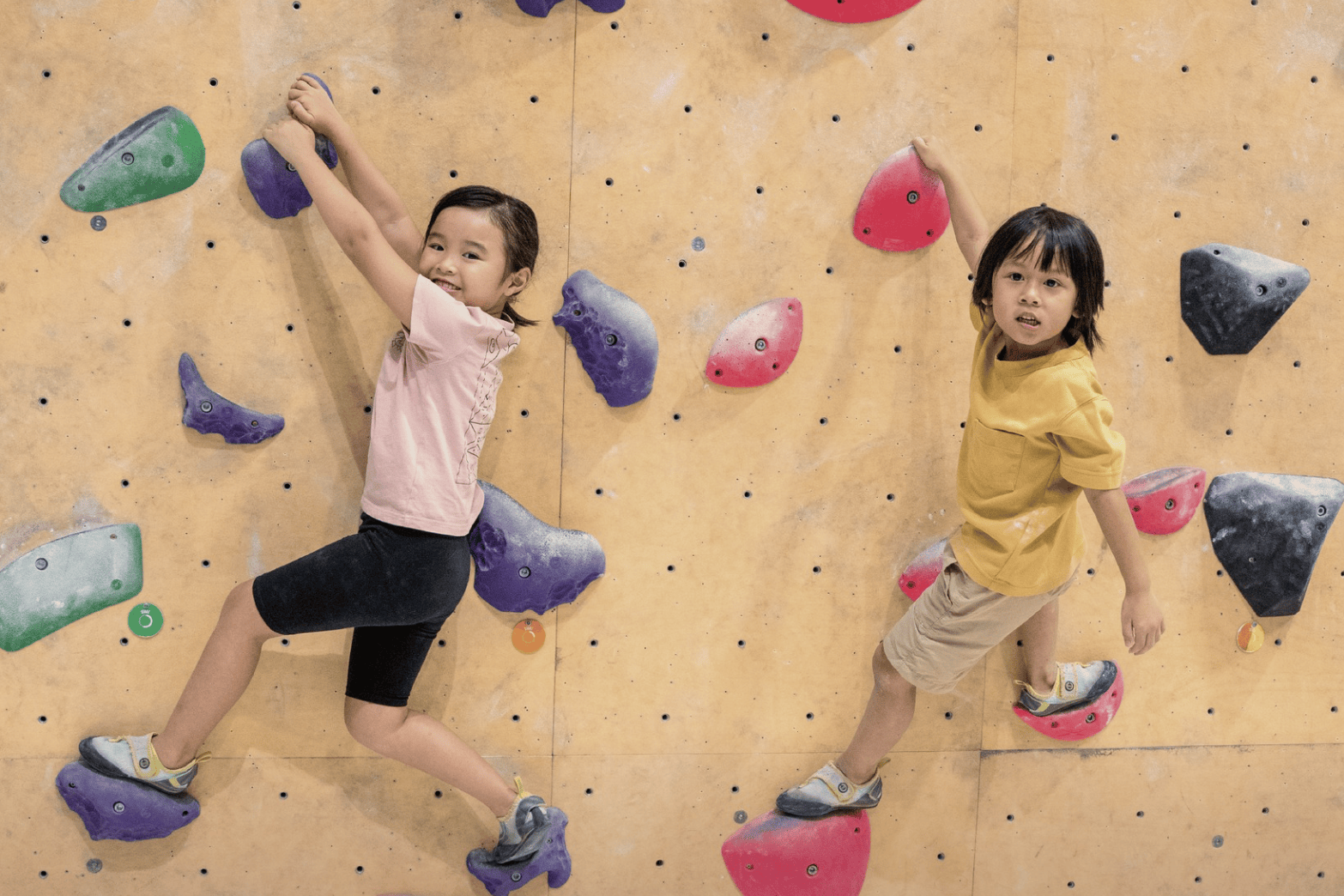 Stonegoat Rock Climbing Classes