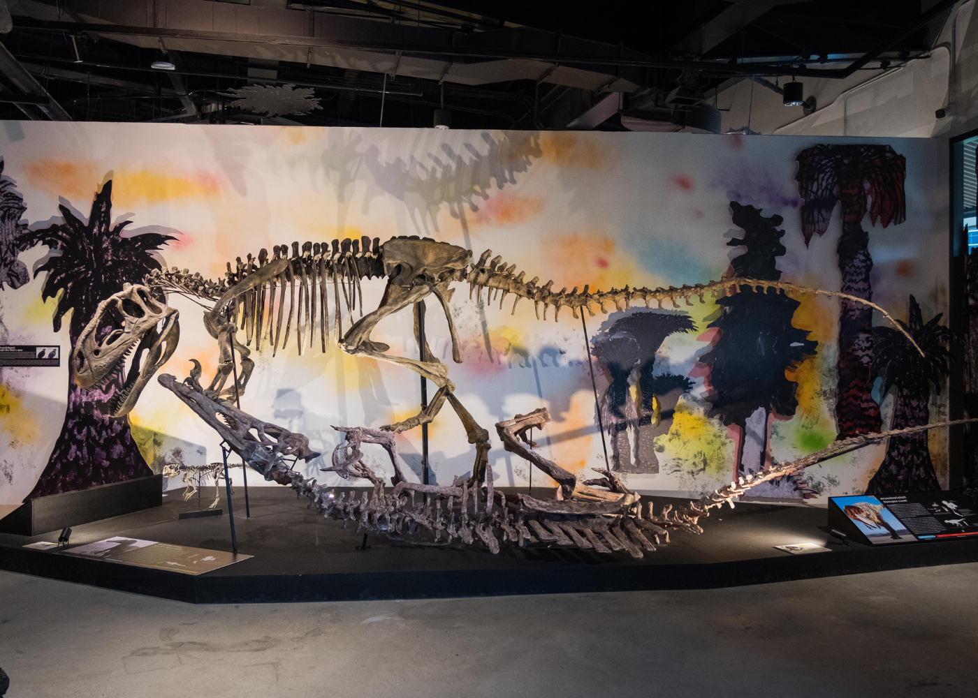 Thainosaur