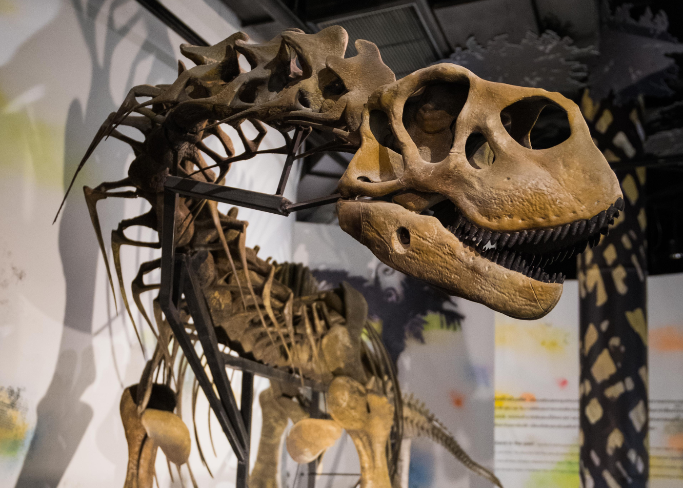 Thainosaur