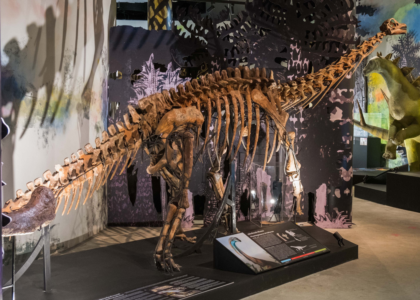 Thainosaur