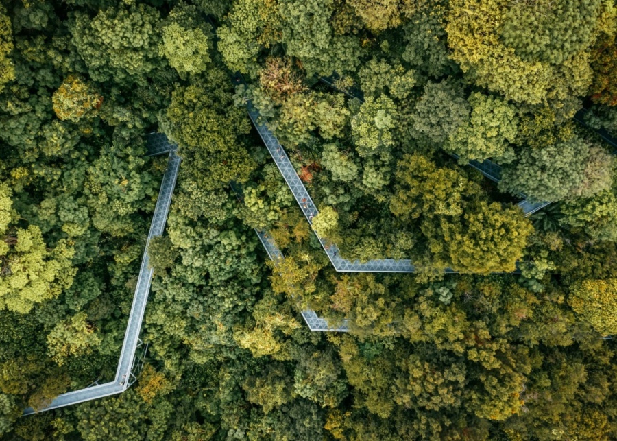 An easy guide to Singapore’s Park Connector Network