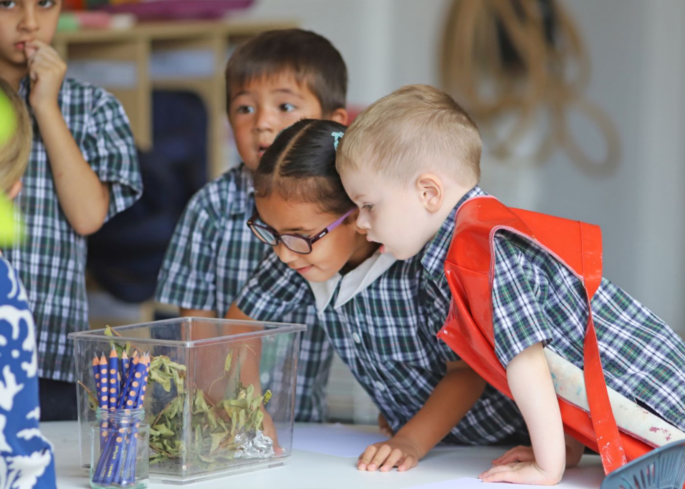 Tanglin Trust School