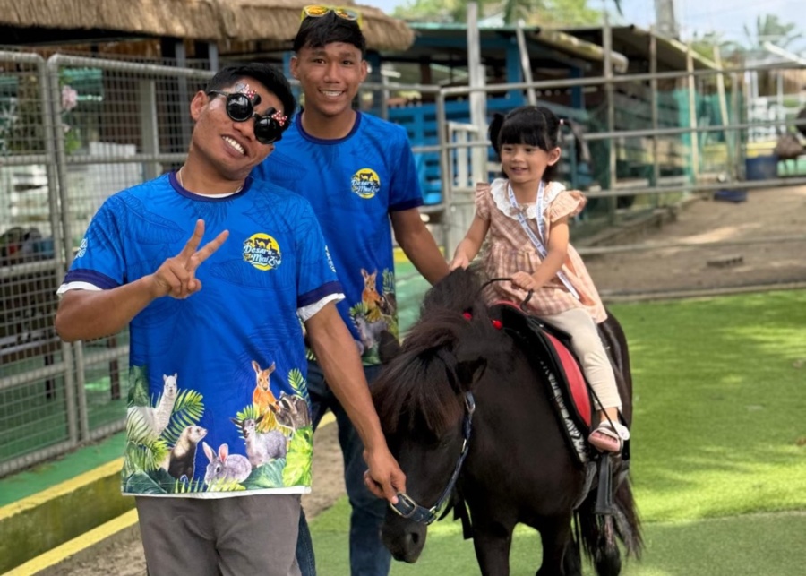 desaru mini zoo pony ride