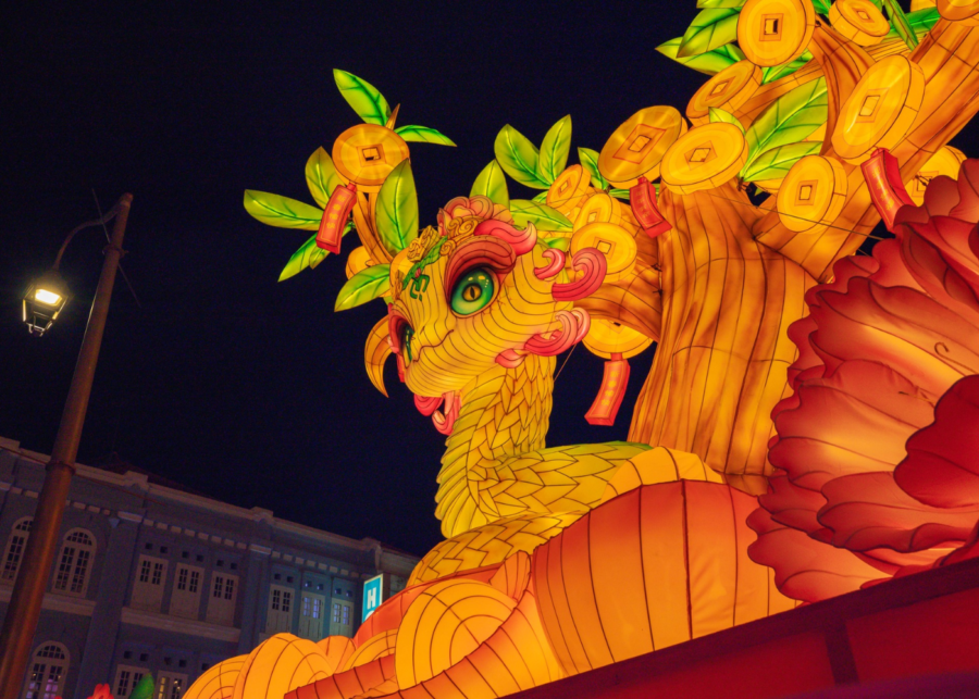 cny light up 2025