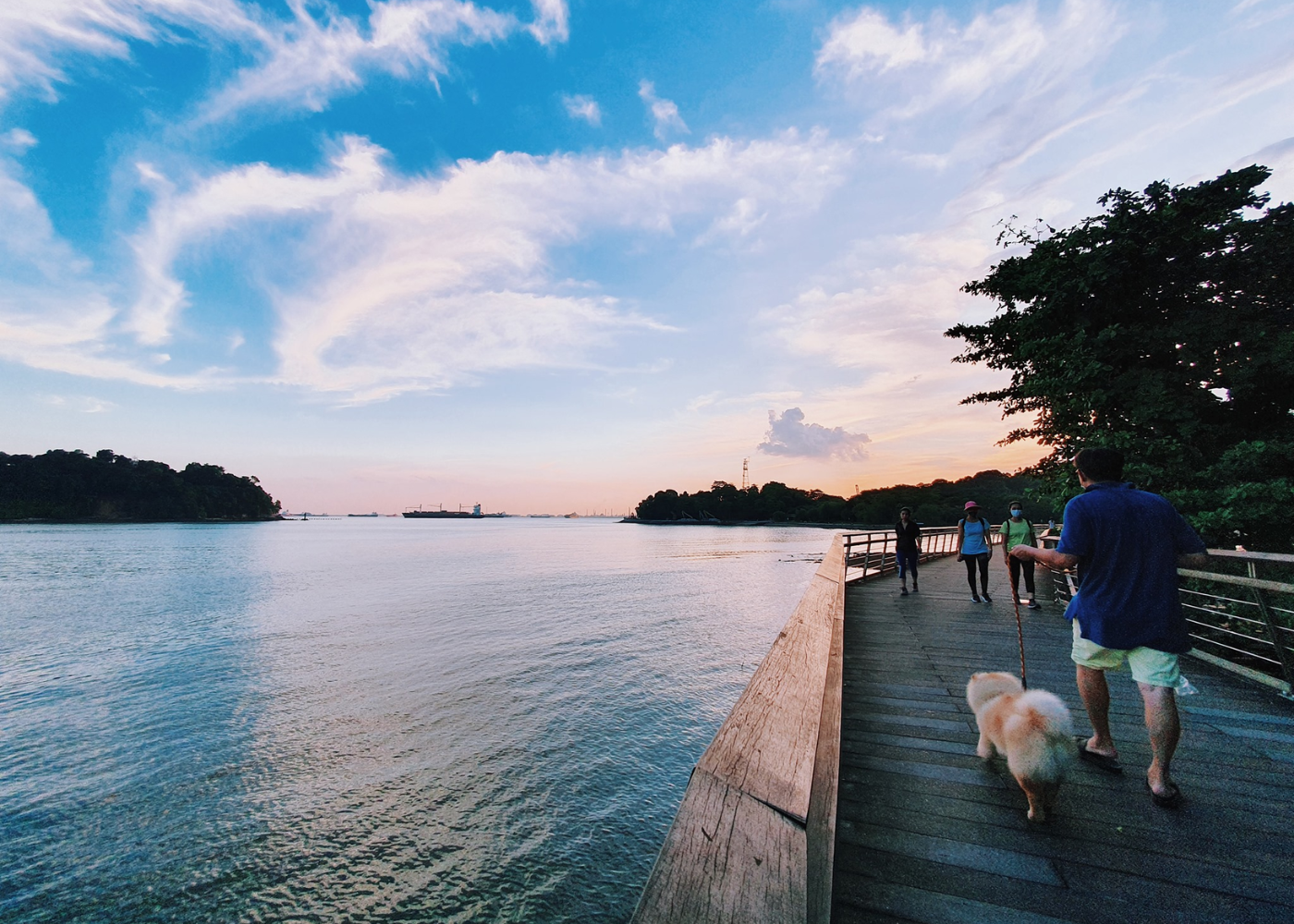 12 best boardwalks in Singapore for stroller-friendly & wheelchair-friendly walks