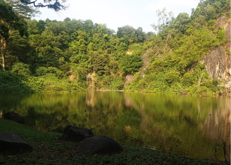 Bt batok town park small guilin