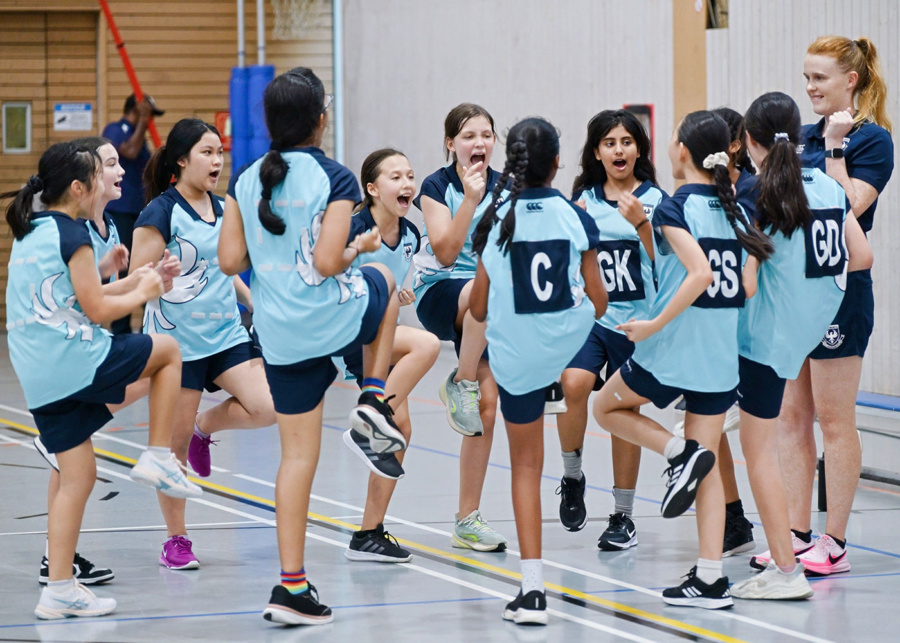 chatsworth sports 