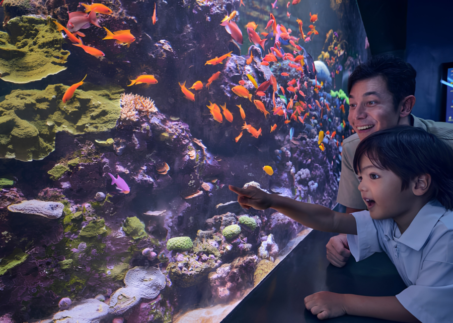 Singapore oceanarium things to do with babies and toddlers