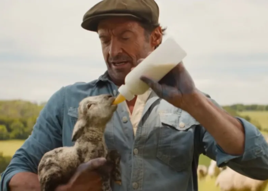 Sheep detectives movie