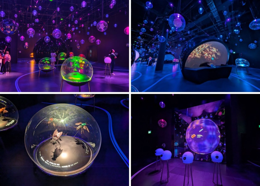 Exploria Micro Worlds
