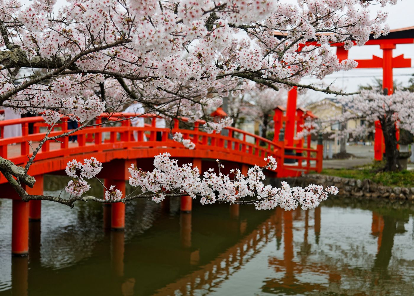 Visiting Japan with the kids for the first time? Here are seven tips from parents who’ve done it