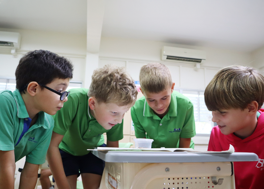 inclusive classrooms winstedt school