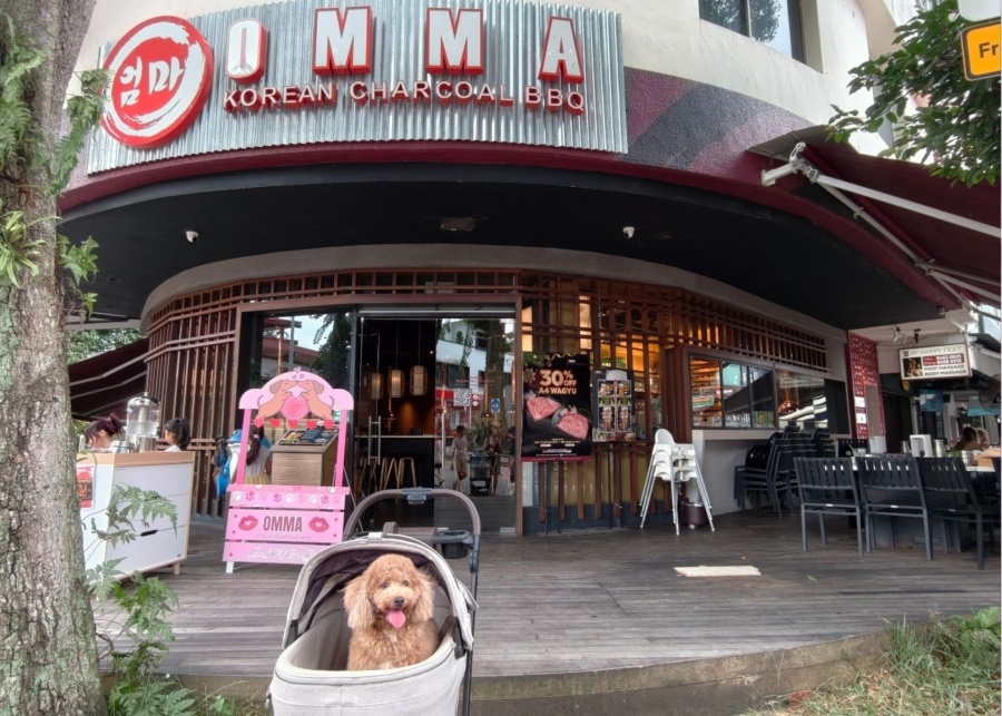 OMMA Korean Charcoal BBQ pet friendly kbbq