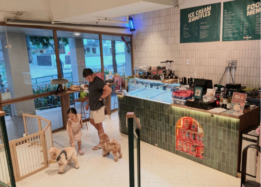 The barking bean pet friendly cafe