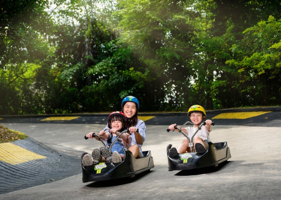 school holidays skyline luge