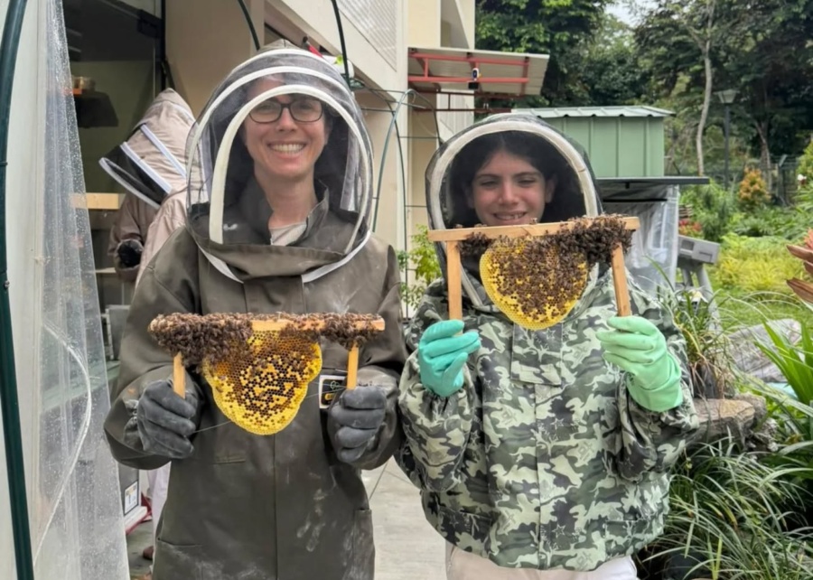the sundowner bukit timah bee farm