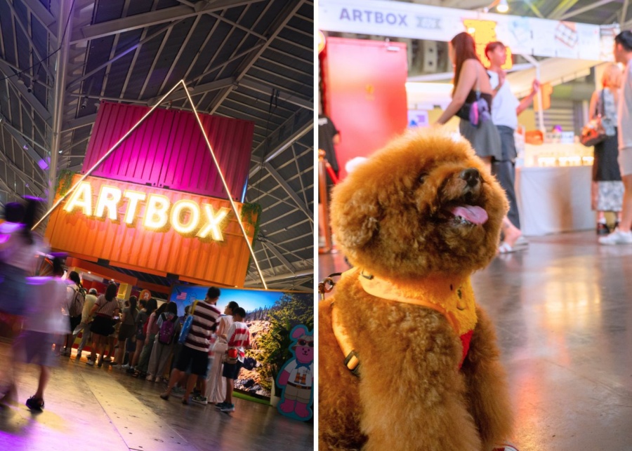 Artbox singapore 2026 pet