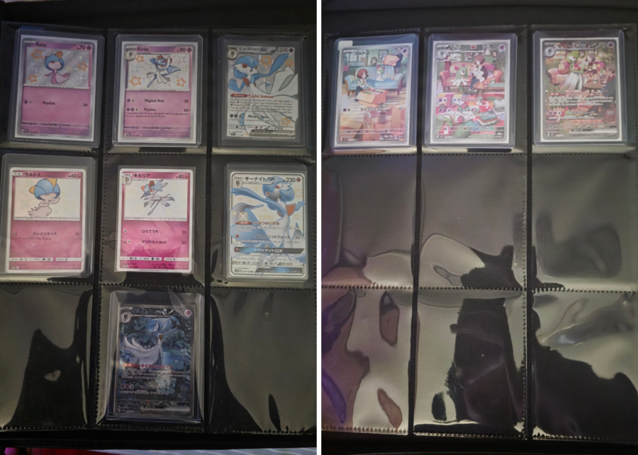 my pokemon cards