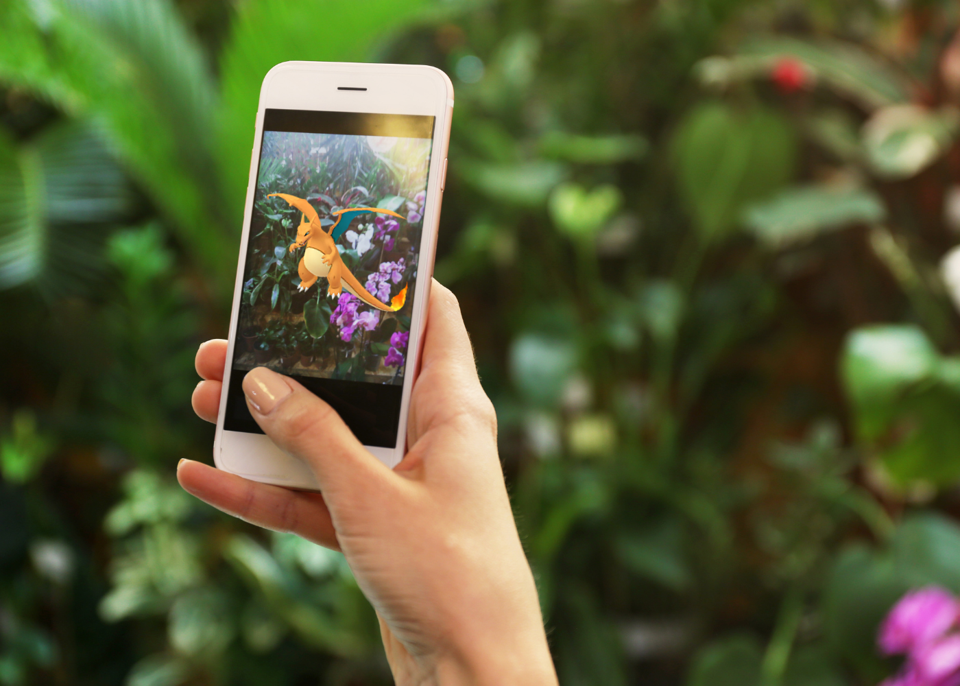 pokemon go pokemon cards