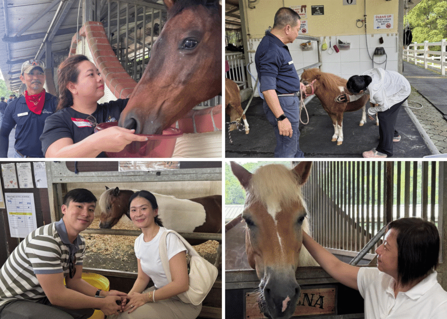 Equal open stable day Singapore things to do with kids this weekend
