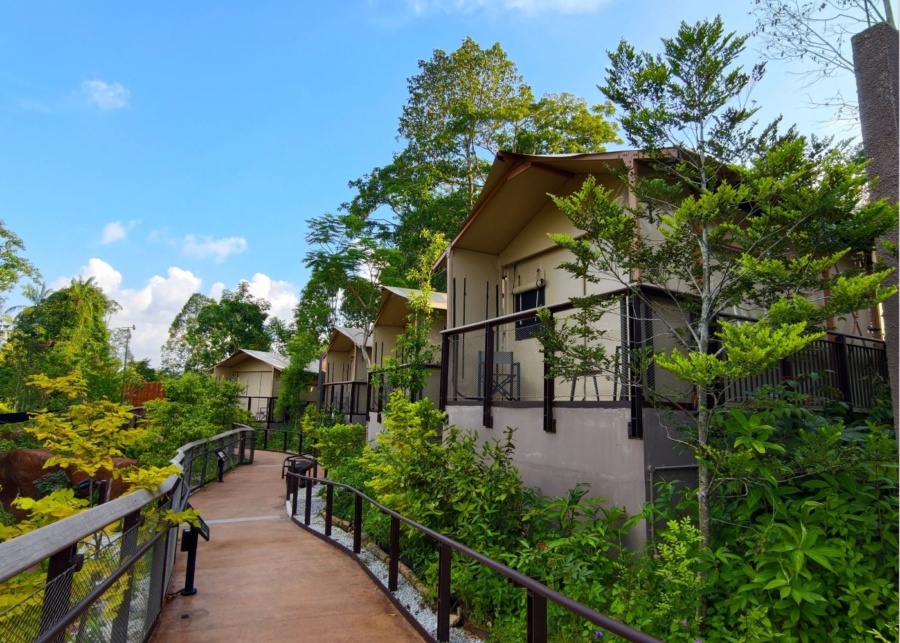 Crocodile Lodge at Rainforest Wild Adventure EAST