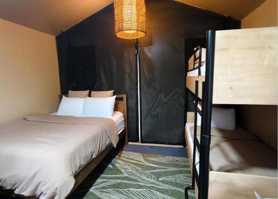 Glamping in the wild Crocodile Lodge inside the tent