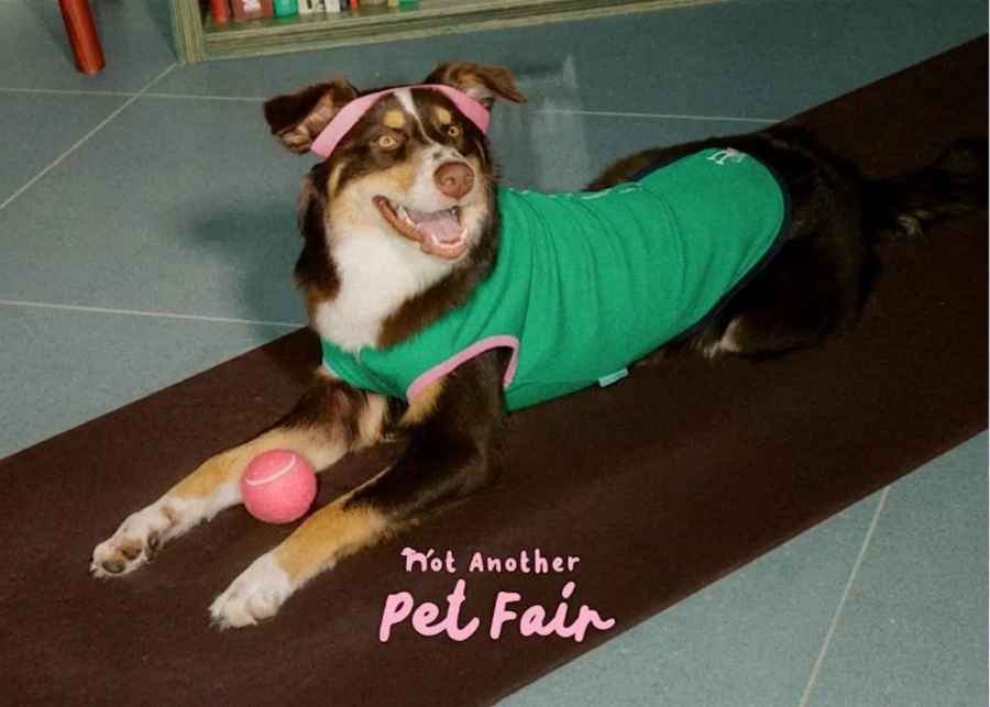 not another pet fair
