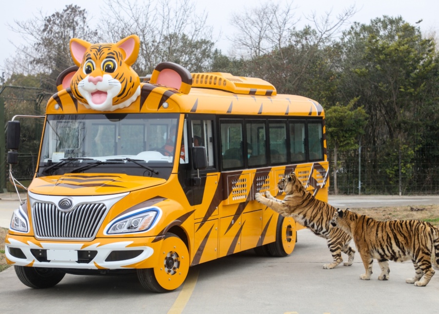 shanghai with kids wild animal park