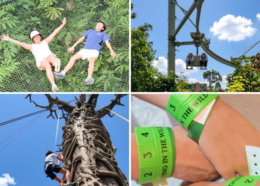 things to do with teens 24 hours at mandai wildlife reserve