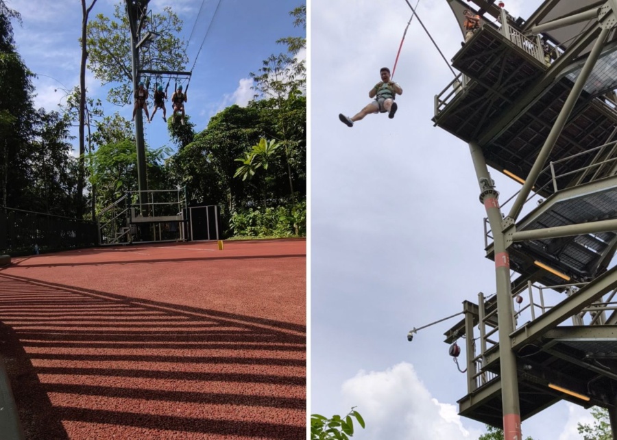 thrilling activities at Rainforest Wild Adventure