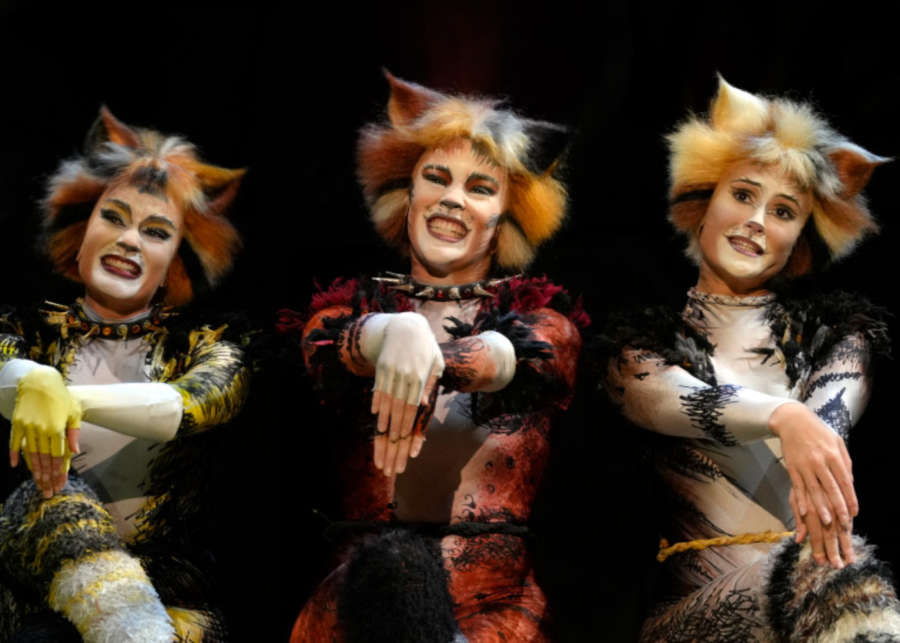 Cats The musical Singapore Sands theatre