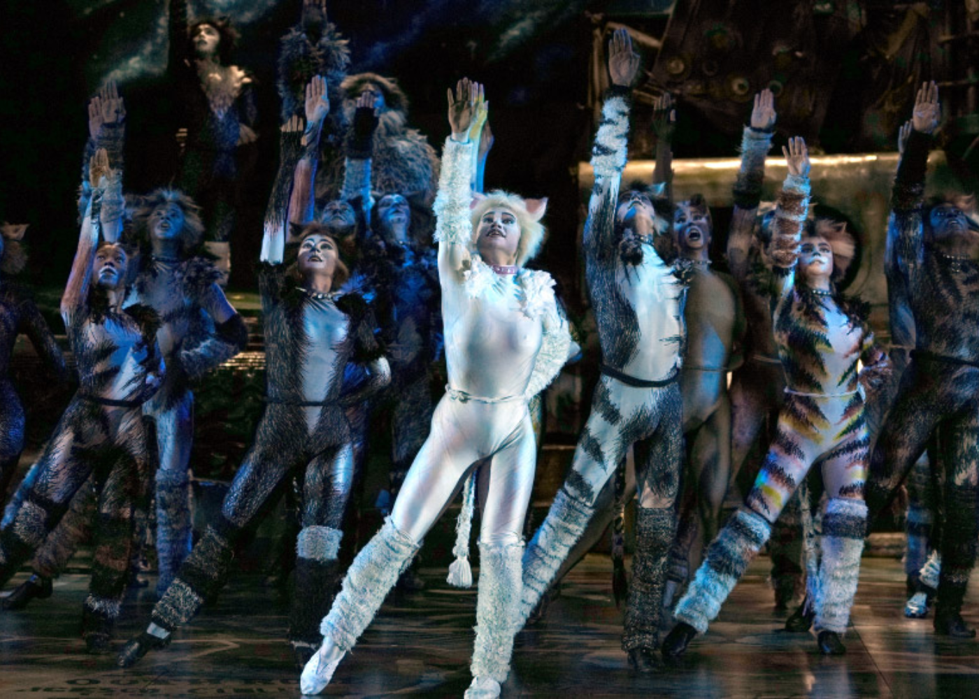 Beyond the whiskers: Why CATS the Musical still has something to say about being human