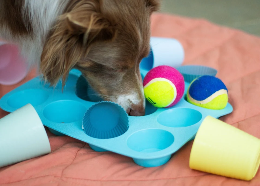 dog treat snuffle mats Singapore